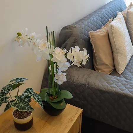 A 50 Metros Do Santuario De アパート *